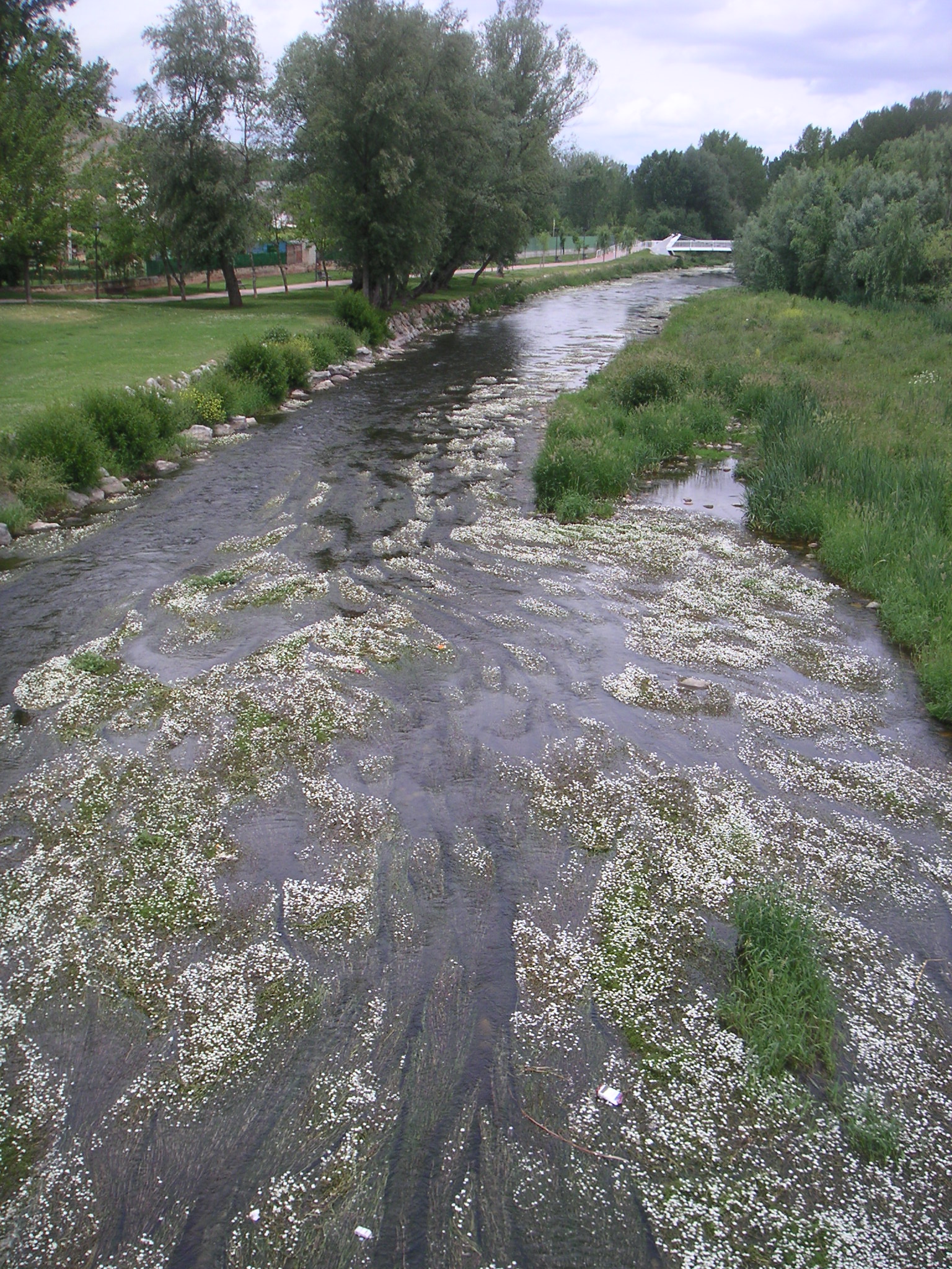 Démarche Église Verte – Les chrétiens réunis autour de l&rsquo;eau vive.